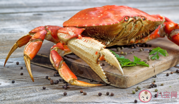 怎么买到新鲜的螃蟹 安全吃螃蟹注意这四点 怎么买到新鲜的螃蟹 安全吃螃蟹注意这四点
