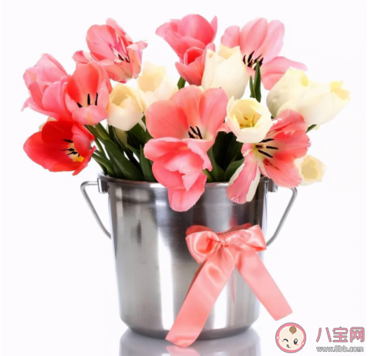 延长鲜花保鲜期剪花枝时怎么做效果会更好 蚂蚁庄园9月14日正确答案 延长鲜花保鲜期剪花枝时怎么做效果会更好 蚂蚁庄园9月14日正确答案