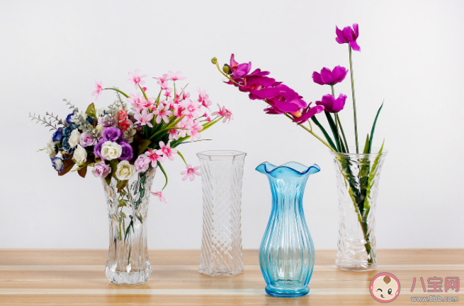 延长鲜花保鲜期剪花枝时怎么做效果会更好 蚂蚁庄园9月14日正确答案 延长鲜花保鲜期剪花枝时怎么做效果会更好 蚂蚁庄园9月14日正确答案