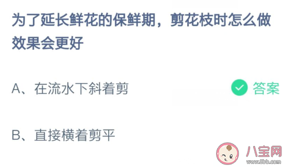 为了延长鲜花保鲜期剪花枝时怎么做最好 蚂蚁庄园9月14日答案 为了延长鲜花保鲜期剪花枝时怎么做最好 蚂蚁庄园9月14日答案