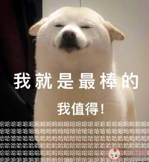 大一准备考研会不会太早 大几开始准备考研最合适