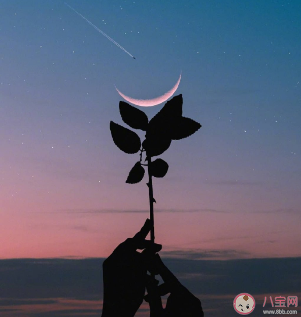 什么样的人生算是高质量的人生 如何实现高质量人生