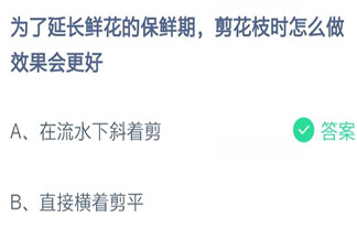 为了延长鲜花保鲜期剪花枝时怎么做最好 蚂蚁庄园9月14日答案