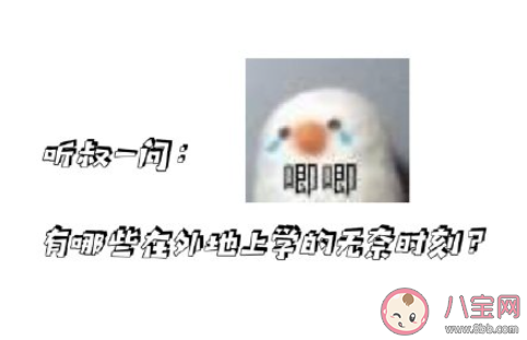 在外地上学的无奈时刻 一个人身在他乡有哪些无奈