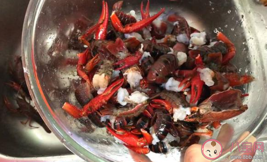 除了背上的黑线虾腹部的黑线需要去掉吗 蚂蚁庄园9月16日答案 除了背上的黑线虾腹部的黑线需要去掉吗 蚂蚁庄园9月16日答案