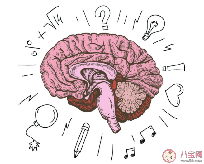 关于大脑的9个冷知识 如何保护脑健康