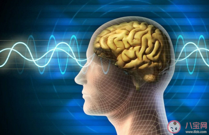 关于大脑的9个冷知识 如何保护脑健康