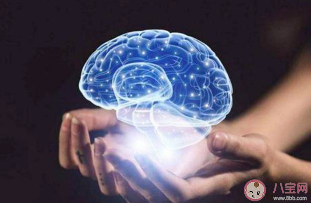 损害大脑健康的杀手有哪些 怎么练就最强大脑保持年轻态 损害大脑健康的杀手有哪些 怎么练就最强大脑保持年轻态