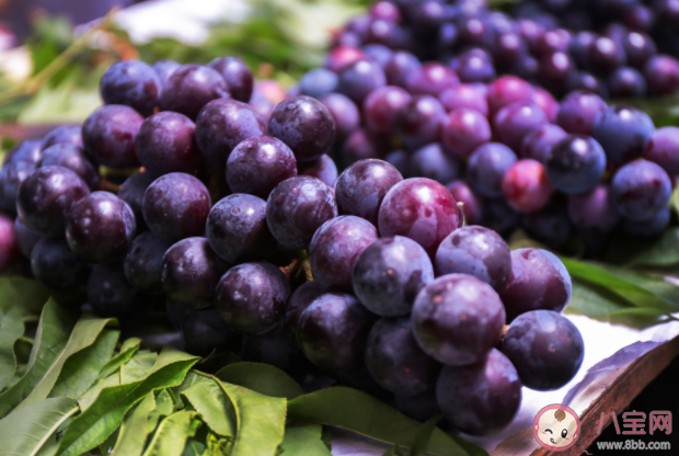 水果分公母吗 生活中常见的水果怎么挑好吃 水果分公母吗 生活中常见的水果怎么挑好吃