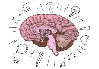 关于大脑的9个冷知识 如何保护脑健康