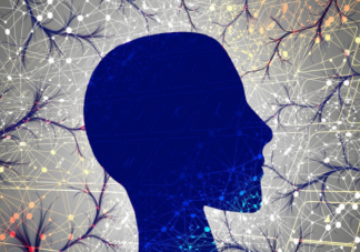 损害大脑健康的杀手有哪些 怎么练就最强大脑保持年轻态