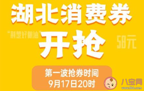 2021湖北消费券微信在哪领 2021湖北消费券有几种类型