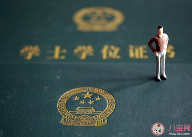 第一学历能证明求职者的能力吗 为什么第一学历很重要