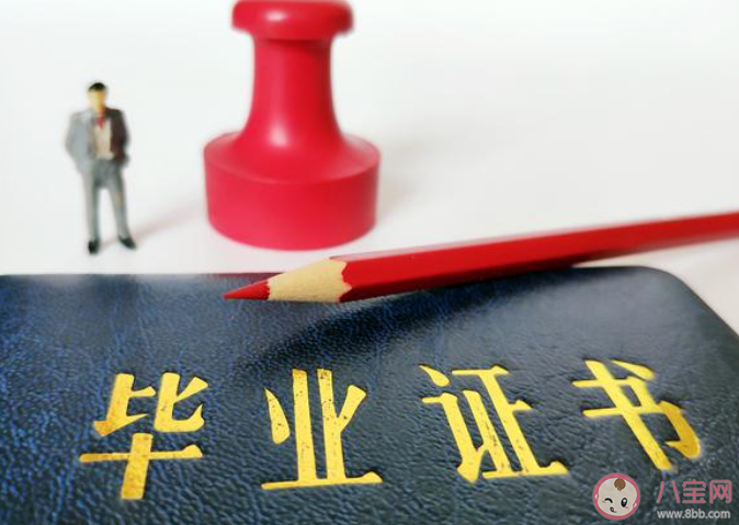 第一学历能证明求职者的能力吗 为什么第一学历很重要