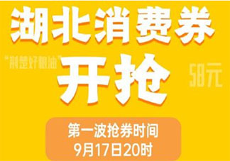 2021湖北消费券微信在哪领 2021湖北消费券有几种类型