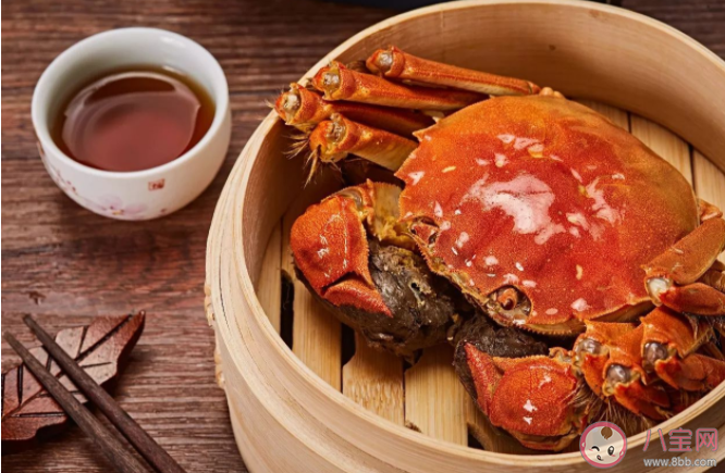 10月吃螃蟹是吃公螃蟹还是母螃蟹 吃螃蟹有什么好处