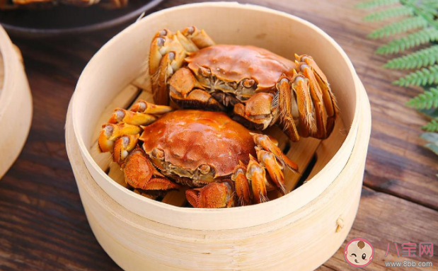10月吃螃蟹是吃公螃蟹还是母螃蟹 吃螃蟹有什么好处