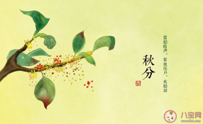 秋分温柔浪漫朋友圈文案句子 秋分文案优美短句大全