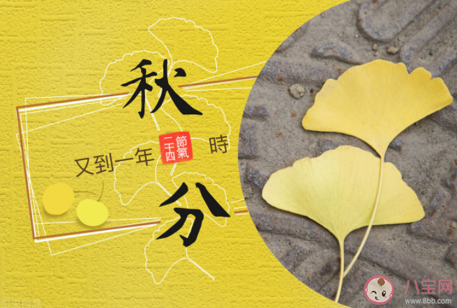 2021秋分节气文案怎么写 秋分节气创意海报文案赏析