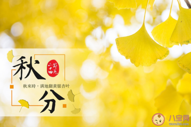 2021秋分节气文案怎么写 秋分节气创意海报文案赏析