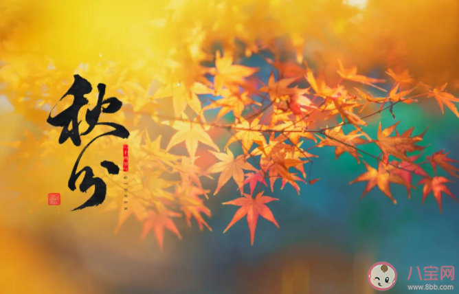 秋分后要小心哪些疾病 秋分之后应注意什么