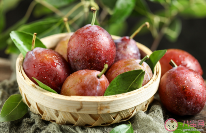 西梅吃多了拉肚子怎么回事 西梅一天吃多少合适 西梅吃多了拉肚子怎么回事 西梅一天吃多少合适