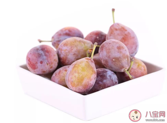 西梅吃多了拉肚子怎么回事 西梅一天吃多少合适 西梅吃多了拉肚子怎么回事 西梅一天吃多少合适