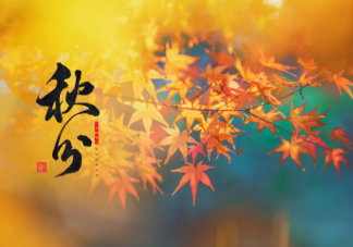 秋分后要小心哪些疾病 秋分之后应注意什么