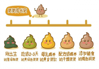 宝宝拉绿色大便是怎么回事 哪些异常大便要送医