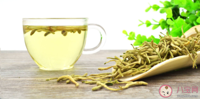 金银花能和菊花一起泡水喝吗 金银花和菊花一起泡水喝有什么功效 金银花能和菊花一起泡水喝吗 金银花和菊花一起泡水喝有什么功效