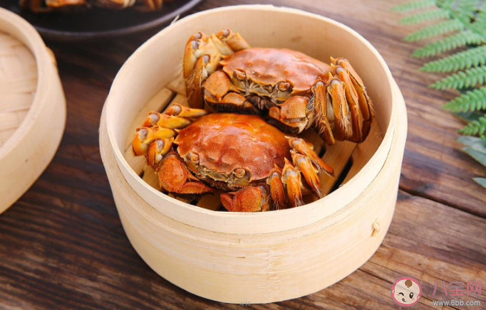 螃蟹胆固醇高不高 每天能吃多少螃蟹 螃蟹胆固醇高不高 每天能吃多少螃蟹