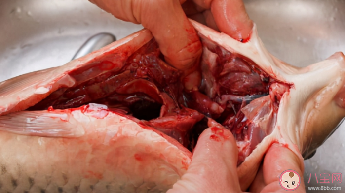 吃鱼胆能去火吗 吃鱼胆中毒怎么办 吃鱼胆能去火吗 吃鱼胆中毒怎么办