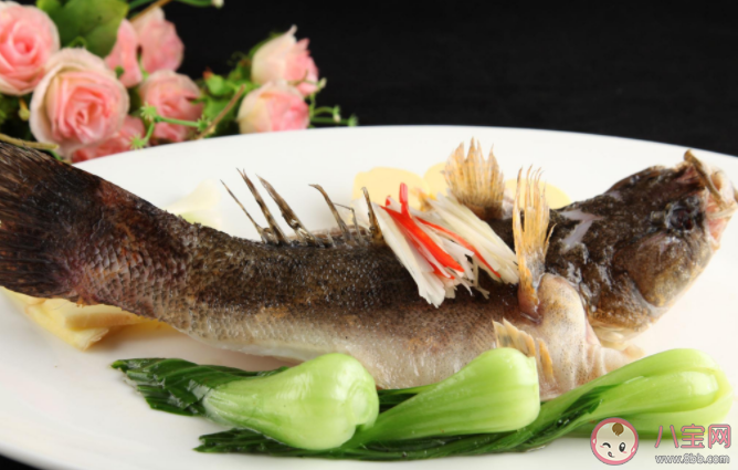 吃鱼胆能去火吗 吃鱼胆中毒怎么办 吃鱼胆能去火吗 吃鱼胆中毒怎么办