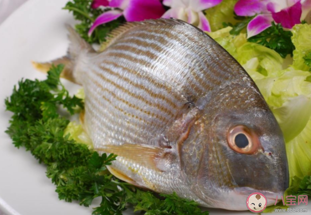 鱼胆为什么会有毒 鱼胆中毒有什么症状 鱼胆为什么会有毒 鱼胆中毒有什么症状