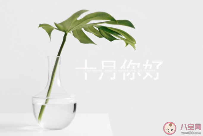十月第一天早安的心情说说短语 十月第一天发朋友圈早安问候语