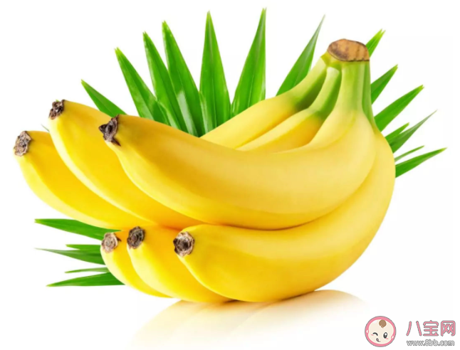 香蕉不同颜色营养有什么不同 香蕉保存做法步骤 香蕉不同颜色营养有什么不同 香蕉保存做法步骤