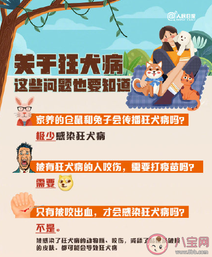 2021世界狂犬病日主题是什么 关于预防狂犬病的九个知识点