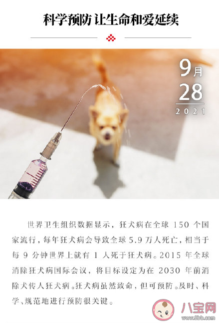 2021世界狂犬病日主题是什么 关于预防狂犬病的九个知识点