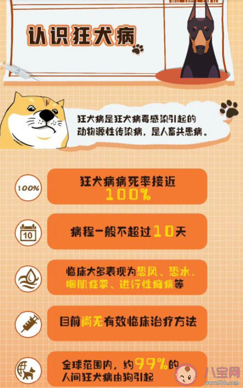 狂犬病病死率几乎100% 如何科学应对狂犬病
