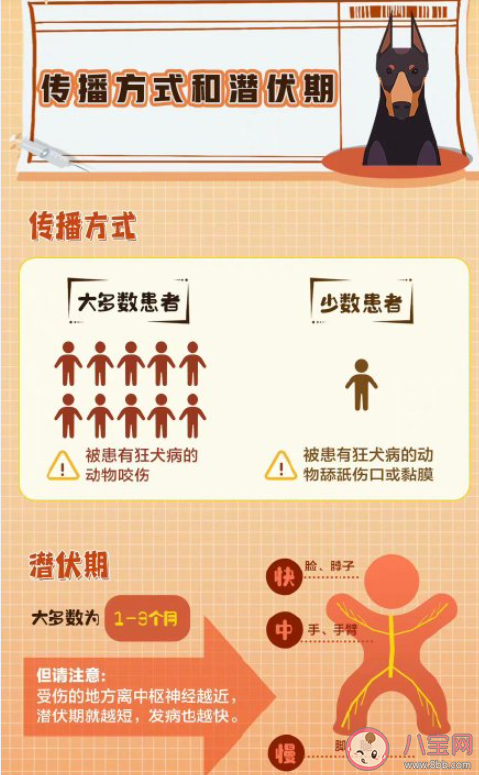 狂犬病病死率几乎100% 如何科学应对狂犬病