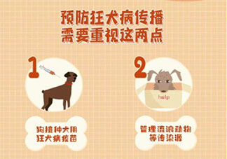 狂犬病病死率几乎100% 如何科学应对狂犬病