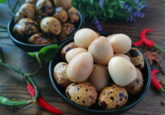 鸡蛋/鸭蛋/鹌鹑蛋营养上有什么区别 为什么鸭蛋/鹅蛋/鹌鹑蛋价格更贵