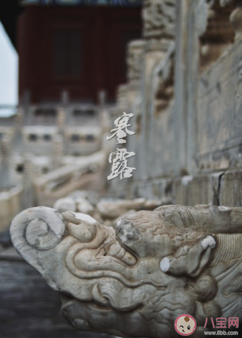 2021今日寒露唯美图片祝福语说说 2021今日寒露发朋友圈经典句子