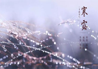 2021今日寒露唯美图片祝福语说说 2021今日寒露发朋友圈经典句子