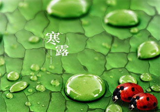 2021寒露节气早安心语图片问候句子 2021寒露节气一句话说说带图