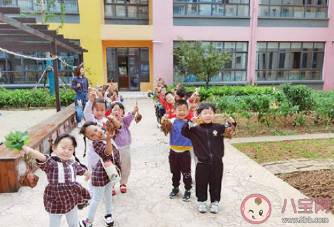 2021幼儿园寒露节气活动美篇报道大全 2021幼儿园寒露节气活动新闻稿三篇