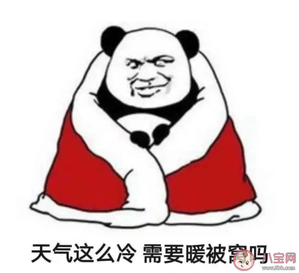 天冷加衣的朋友圈文案句子 天冷加衣朋友圈关心话语大全