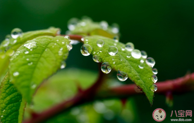 月亮眨眨眼睛我把你放在手心是什么歌 《小雨天气》完整版歌词在线听歌