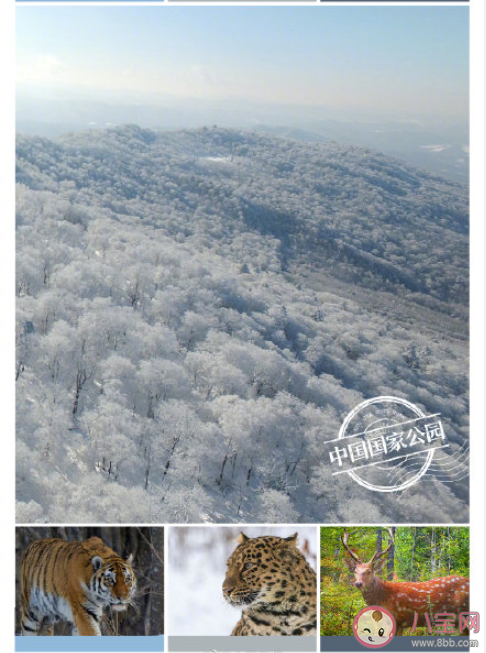 第一批国家公园名单有哪些 什么是国家公园 第一批国家公园名单有哪些 什么是国家公园