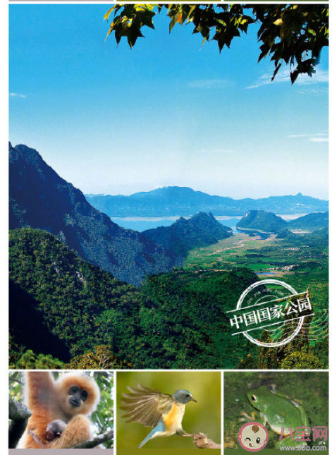 第一批国家公园名单有哪些 什么是国家公园 第一批国家公园名单有哪些 什么是国家公园